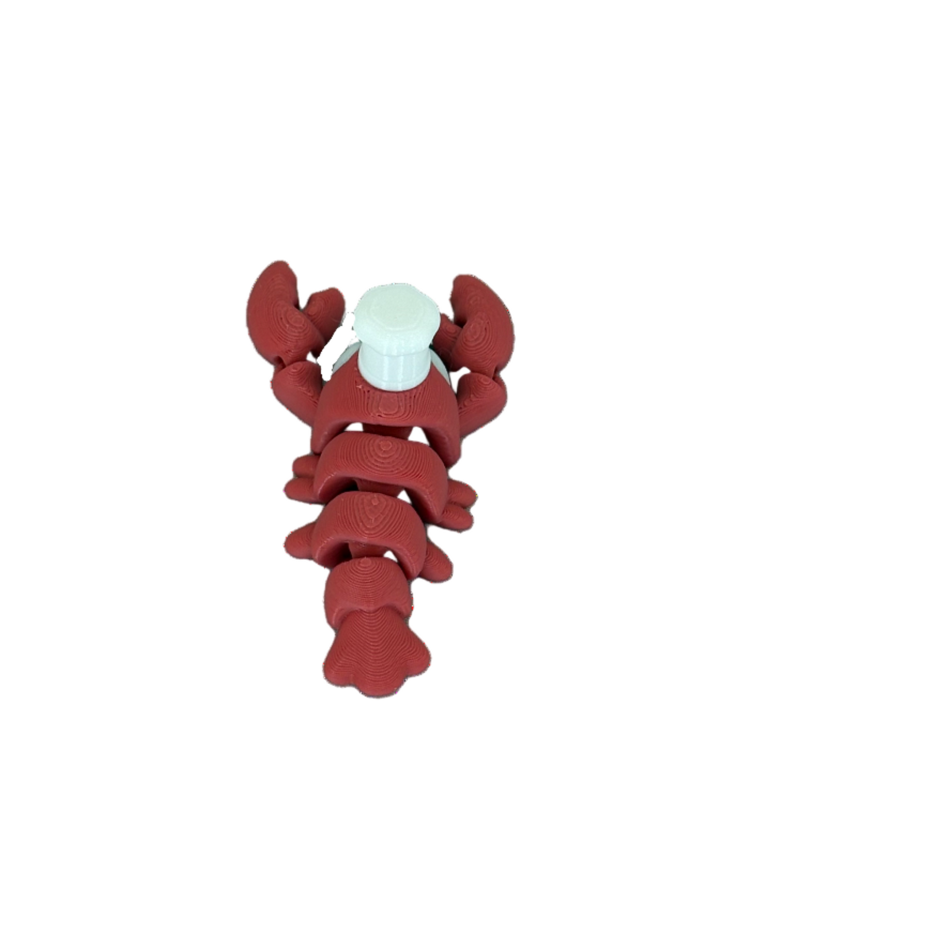 Hummer Lobster Rot Hütchen